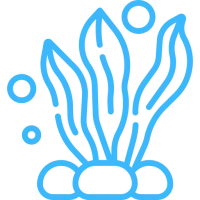 faune marine
